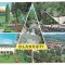 carte postala- OLANESTI-colaj##