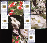 Set de 5 cartele telefonice romtelecom Flori puzzle, 2005