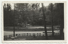 Pitesti : Parcul Trivalea - circulata 1942,cenzura,timbre foto