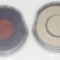 Tusiera Colop ER30/2 - Colop ER40/2