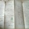 document localitatea halmagiu,jud. arad in limba romana 1871