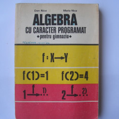 Dan Nica, Maria Nica - Algebra cu caracter programat (pentru gimnaziu),p10