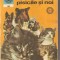 (C1444) CIINII, PISICILE SI NOI DE ING. VIRGIL POPA, DR. RUXANDRA NICOLESCU, DR. DUMITRU DUMITRESCU, EDITURA CERES, BUCURESTI, 1978, VOLUMUL AL II-LEA