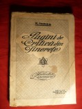 N. Iorga - Pagini de Critica din Tinerete - Prima Ed. 1921 ,191pag