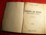 Jules Verne - Comoara din Ostrov -vol. 1 si 2 -trad. I.Pas.-interbelica