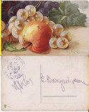 Ilustratori - Flori,natura moarta-Catharina Klein, Circulata, Printata