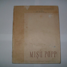 Misu PoPP-Ion Frunzetti