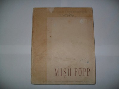Misu PoPP-Ion Frunzetti foto