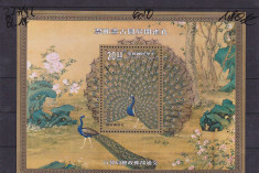 Fauna pictura pauni Taiwan. foto