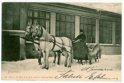 2634 - BUCURESTI, Muscal iarna - old postcard - used - 1904 foto