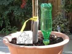 Set irigator plante/flori/ghivece (set irigatoare/con/aspersor/sistem de irigat/ dispozitiv udat gradina/ picurator/ stropitor/ stropitoare) foto