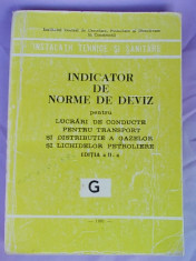 INDICATOR DE NORME DE DEVIZ PENTRU LUCRARI DE CONDUCTE,TRANSPORT,DISTRIBUTIE A GAZELOR SI LICHIDELOR PETROLIERE/G/ED.II-A/1981 foto