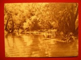 Carte postala - ROMANIA, Societatea Comerciala Oficiala de Turism - In Balta Brailei