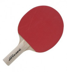 Paleta Ping Pong Dunlop foto