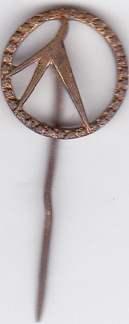 Insigna aviatie