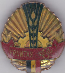 Insigna Fruntas in Cooperativa foto