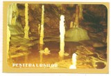 carte postala(ilustrata)-PESTERA URSILOR-Bihor