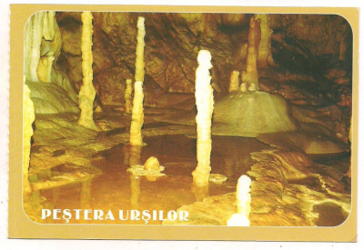 carte postala(ilustrata)-PESTERA URSILOR-Bihor foto