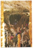 carte postala(ilustrata)-PESTERA URSILOR-Bihor