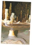 carte postala(ilustrata)-PESTERA URSILOR-Bihor