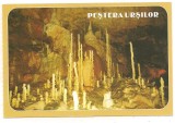 Carte postala(ilustrata)-PESTERA URSILOR-Bihor, Necirculata, Printata