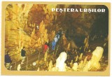 Carte postala(ilustrata)-PESTERA URSILOR-Bihor, Necirculata, Printata