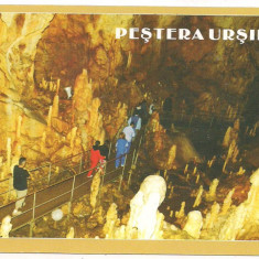 carte postala(ilustrata)-PESTERA URSILOR-Bihor