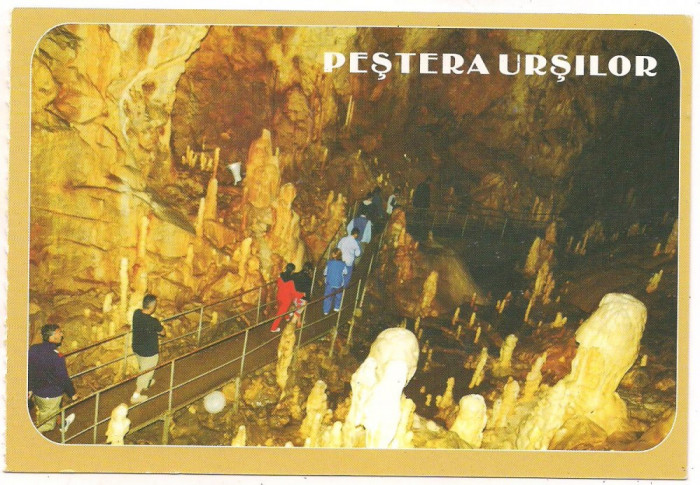 carte postala(ilustrata)-PESTERA URSILOR-Bihor