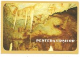 Carte postala(ilustrata)-PESTERA URSILOR-Bihor, Necirculata, Printata