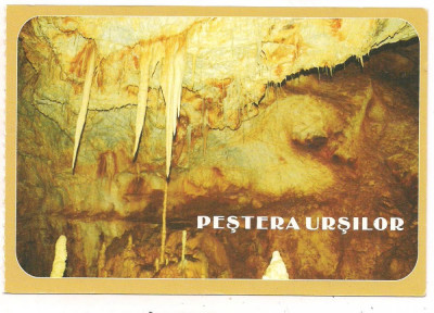 carte postala(ilustrata)-PESTERA URSILOR-Bihor foto