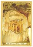carte postala(ilustrata)-PESTERA URSILOR-Bihor