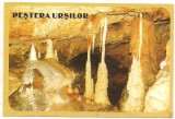 Carte postala(ilustrata)-PESTERA URSILOR-Bihor, Necirculata, Printata