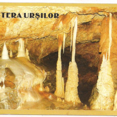 carte postala(ilustrata)-PESTERA URSILOR-Bihor