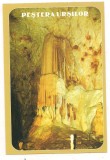 carte postala(ilustrata)-PESTERA URSILOR-Bihor