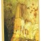 carte postala(ilustrata)-PESTERA URSILOR-Bihor