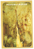Carte postala(ilustrata)-PESTERA URSILOR-Bihor, Necirculata, Printata