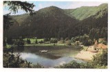 carte postala(ilustrata)-TUSNAD-Lacul Cuicas