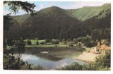 Carte postala(ilustrata)-TUSNAD-Lacul Cuicas, Circulata, Printata