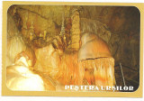 Carte postala(ilustrata)-PESTERA URSILOR-Bihor, Necirculata, Printata