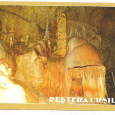 carte postala(ilustrata)-PESTERA URSILOR-Bihor