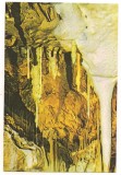 carte postala(ilustrata)-PESTERA URSILOR-Bihor