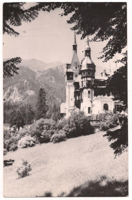 carte postala-SINAIA-Muzeul Peles foto