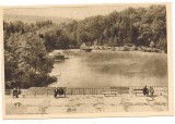 Carte postala-SOVATA-Lacul Ursu, Necirculata, Printata