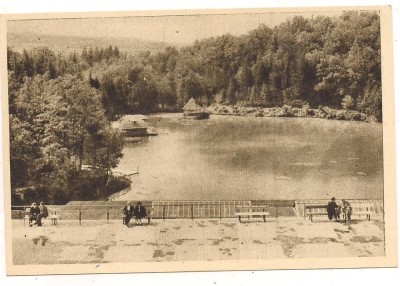 carte postala-SOVATA-Lacul Ursu foto