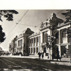 bnk cp Iasi - universitatea Al I Cuza - circulata