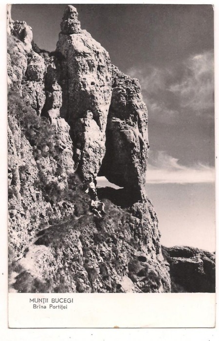 carte postala-MUNTII BUCEGI-Brina Portitei