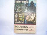 TUDOR OPRIS - BOTANICA DISTRACTIVA,r6