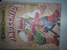 PINOCCHIO/POVESTEA UNEI PAPUSI DE LEMN/CU ILUSTRATII=CARLO COLLODI foto