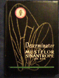 Determinator al mustelor sinatrope din PCR-E.Dobreanu,A.Berteanu,A.Dumitreasa