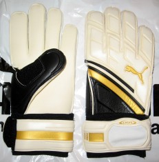 MANUSI PORTAR PUMA LIGA - SHAY GIVEN, GIANLUIGI BUFFON, TIMO HILDEBRAND (pret magazin 160 RON) Mar. 8.5-9-9.5 foto